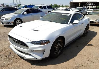 2019 Ford Mustang 1FA6P8TH6K5119074 photo 1