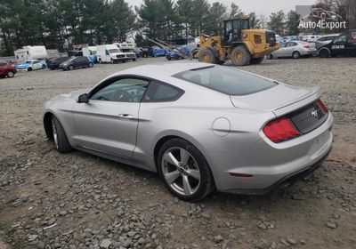 2019 Ford Mustang 1FA6P8TH4K5124063 photo 1